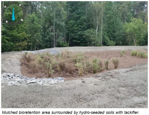 Mulched bioretention area surrounded by hydro-seeded soils with tachifier - ATL